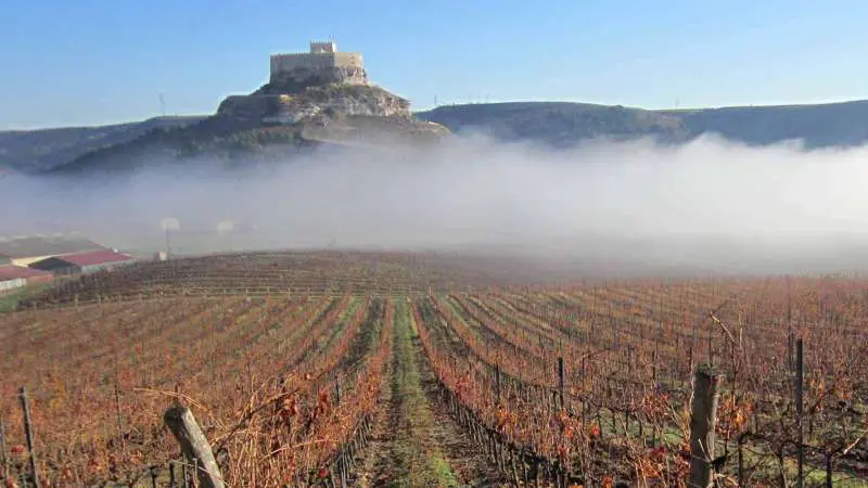 Ribera-del-duero-featured Rivera del Duero