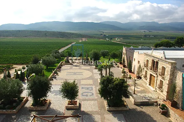 Bodega Francisco Gomez