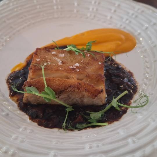 0008 Cochinillo_reducida