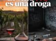 el vino no es una droga